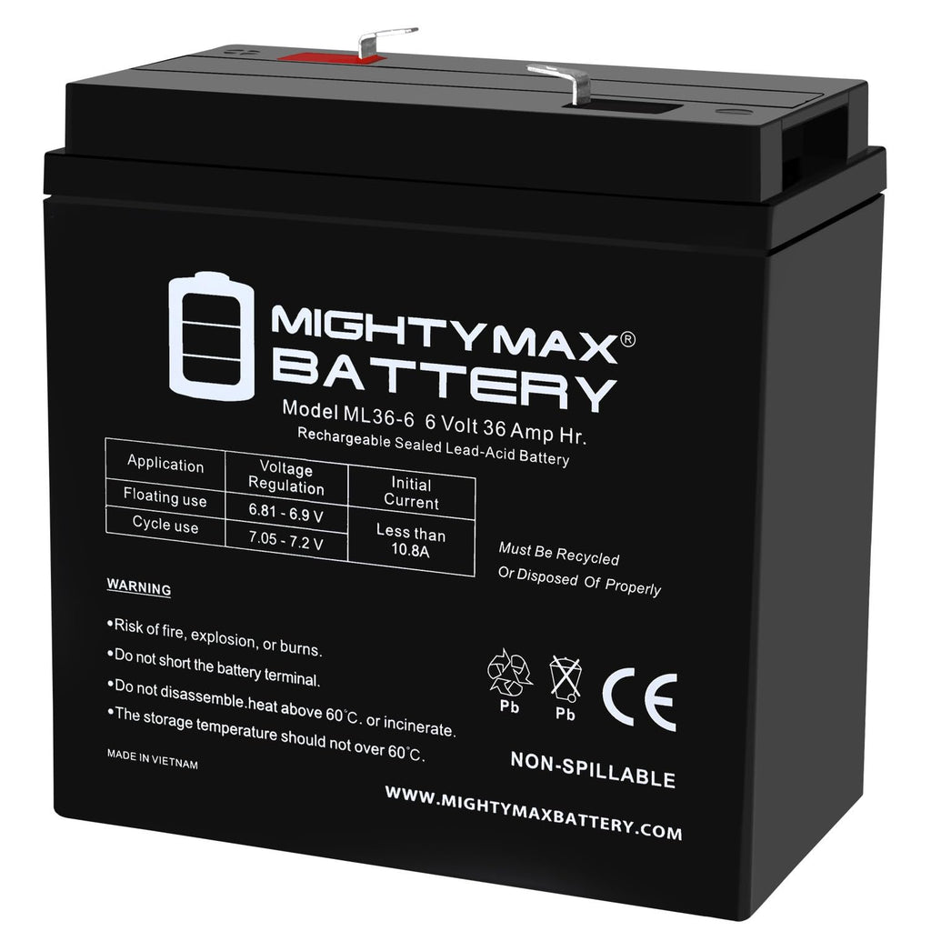6V 36Ah AGM F2 Terminal Battery F13048