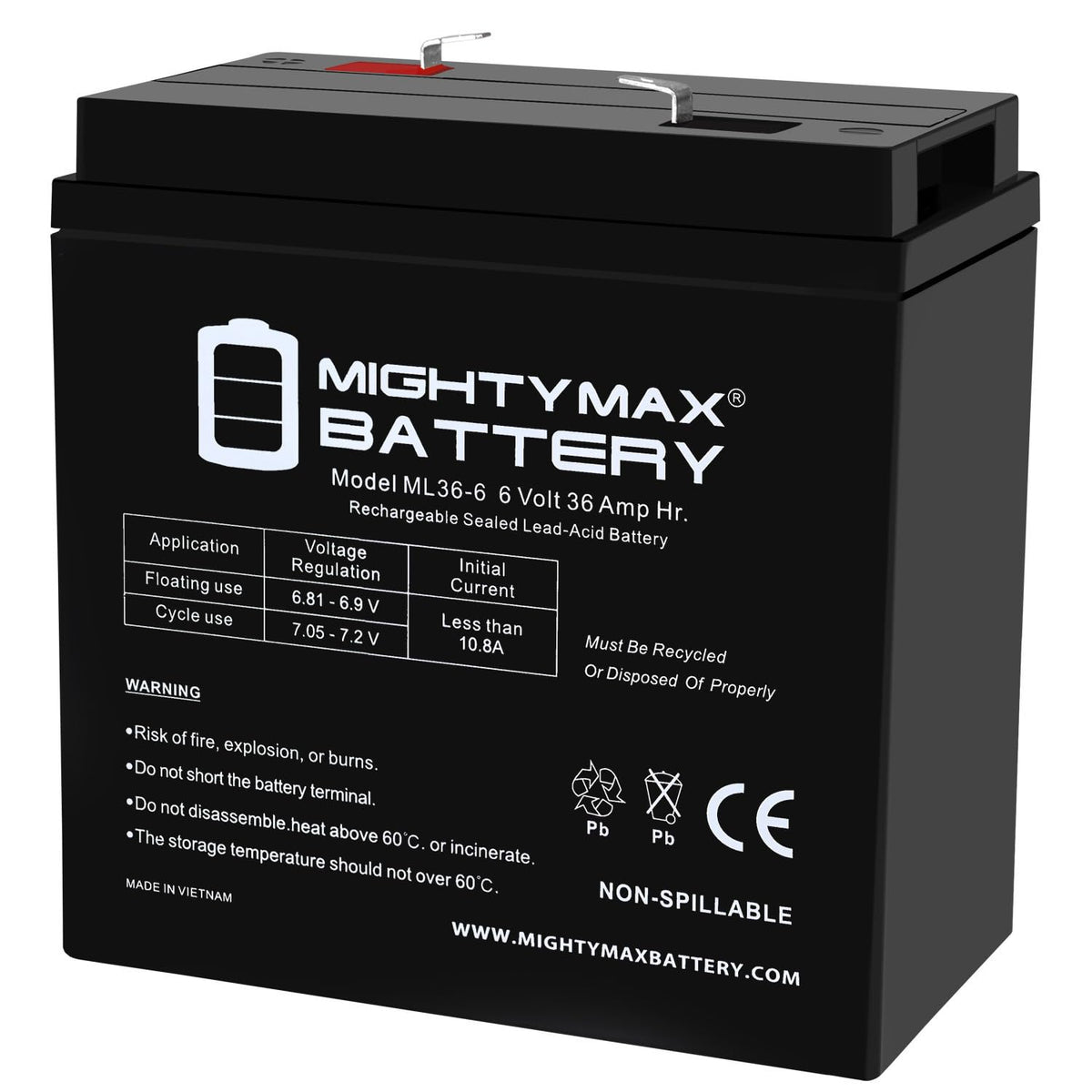 6V 36Ah AGM F2 Terminal Battery F13048