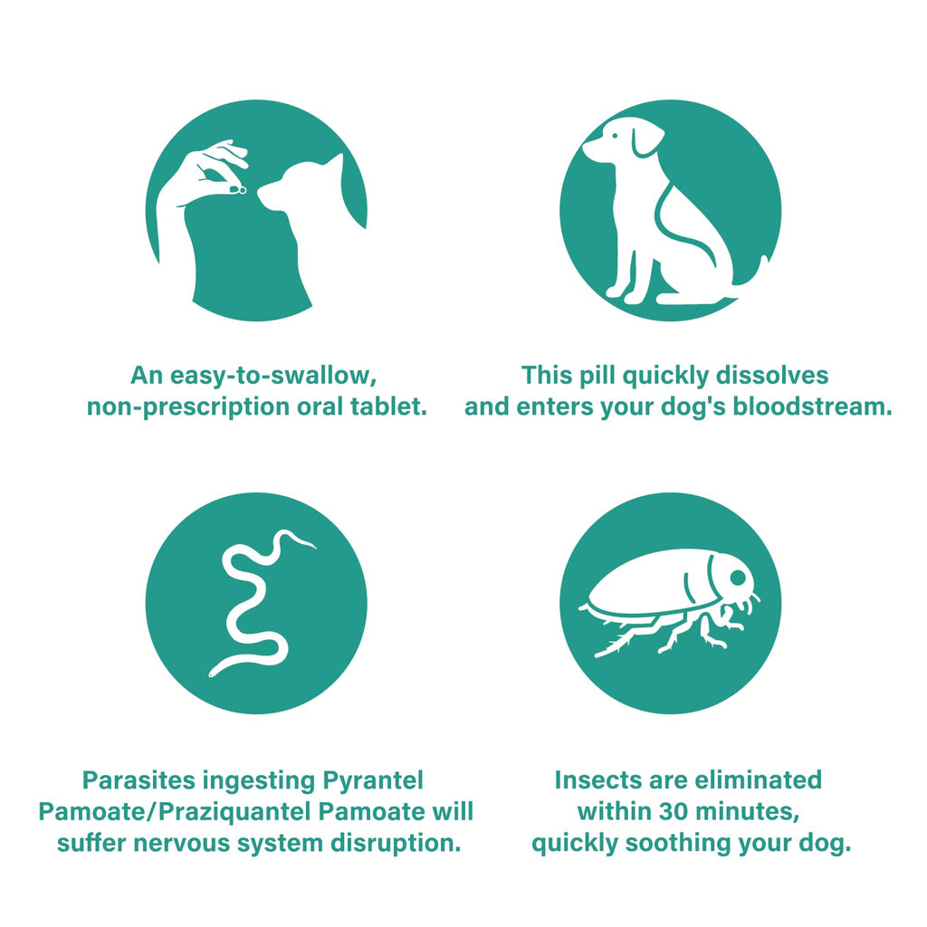 Large Dog & Puppy Oral Worm Remover 50 Tablets R19575