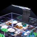 7W Clip On Aquarium Light with White Red Blue Green LED Z777