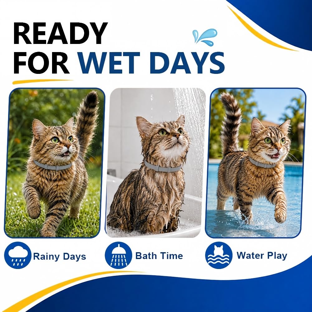 Flea & Tick Collar for Cats 4 Pack J817