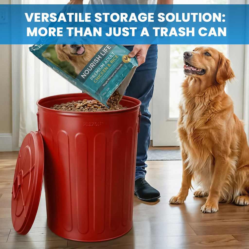 20 Gallon Red Metal Trash Can with Lid S253384