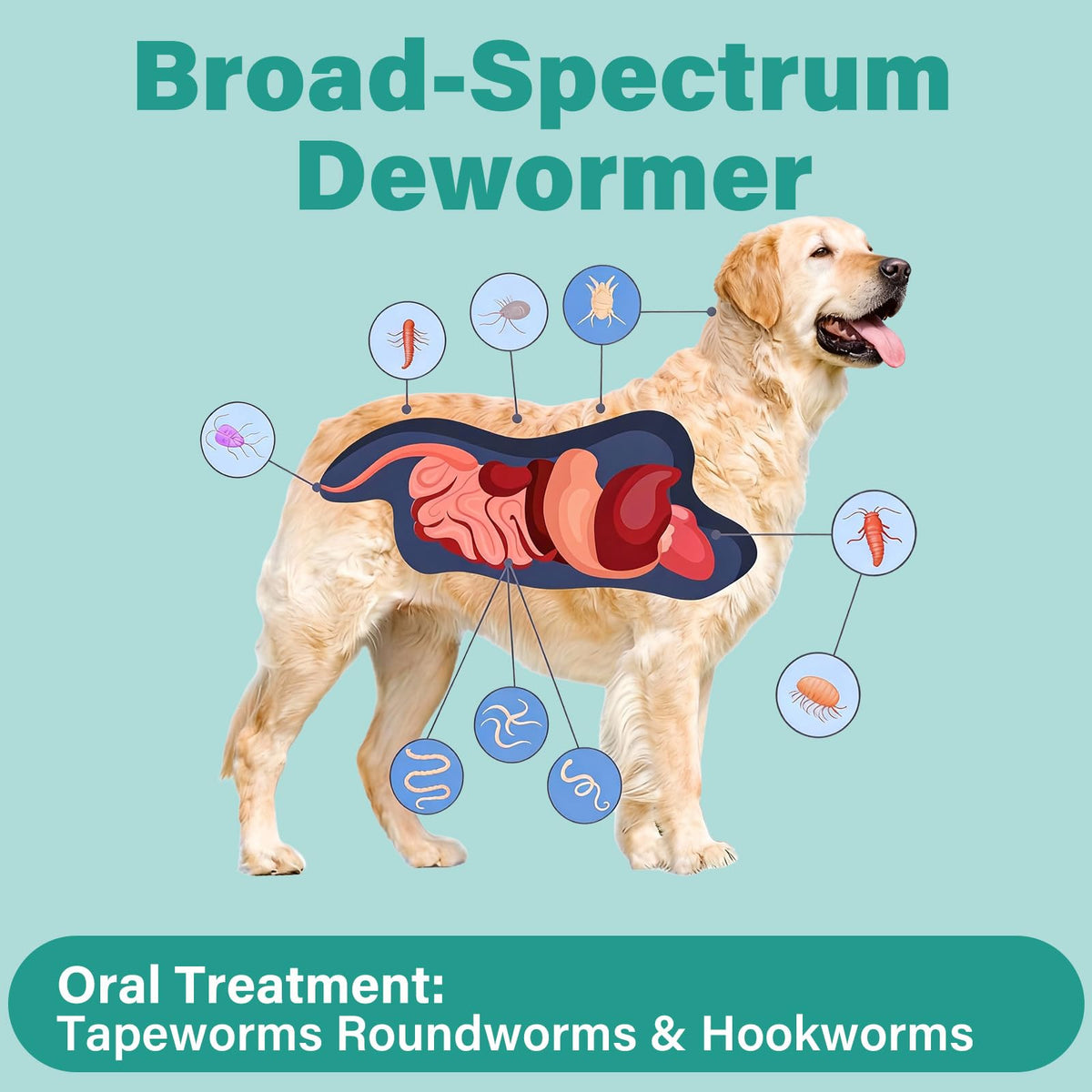 Large Dog & Puppy Oral Worm Remover 50 Tablets R19575
