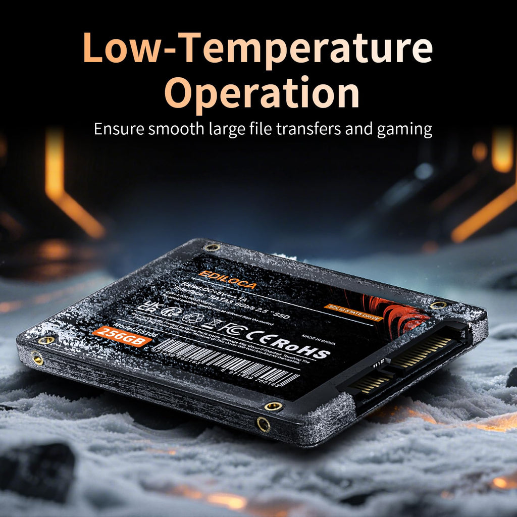 256GB 2.5" SATA III Internal Solid State Drive F78349