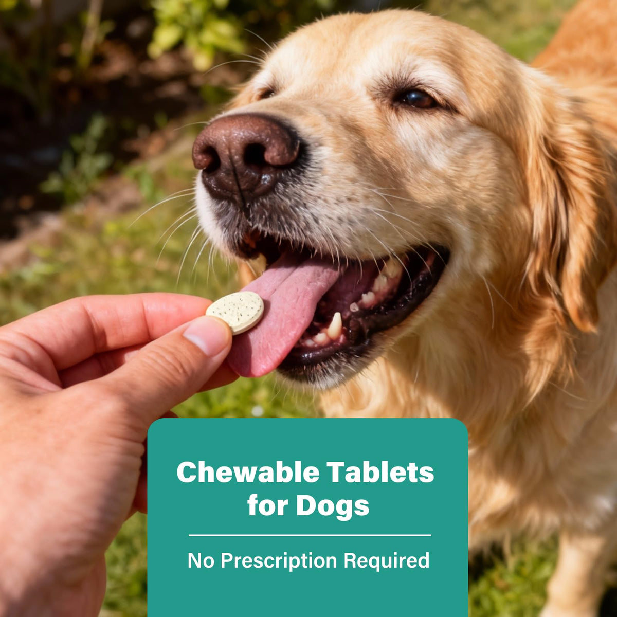 Large Dog & Puppy Oral Worm Remover 50 Tablets R19575