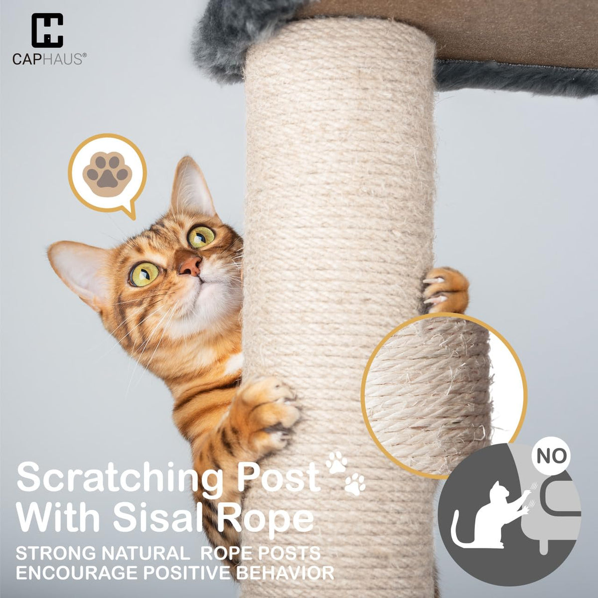 Extra Large 80-Inch Tall Cat Tree with Scratching Posts G731