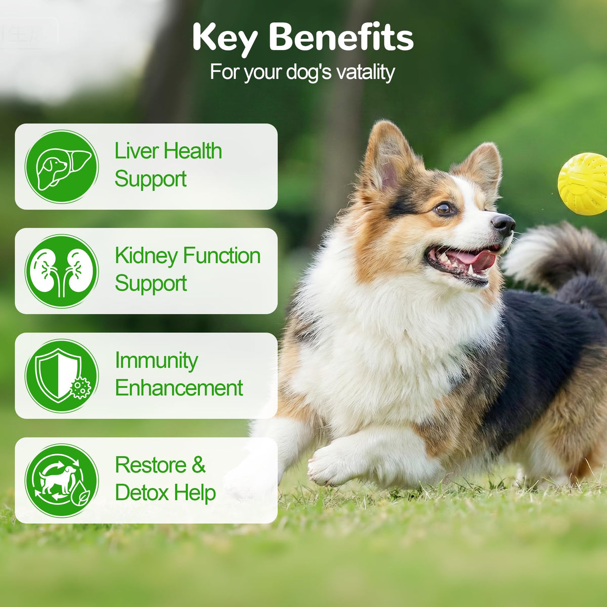 Dog Liver Support Supplement, Milk Thistle 200ct N797
