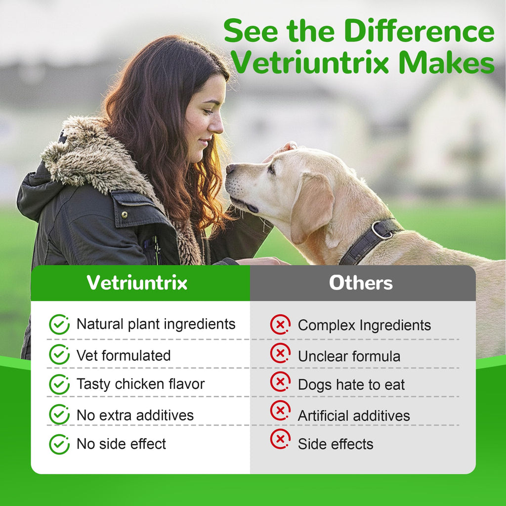 Dog Liver Support Supplement, Milk Thistle 200ct N797