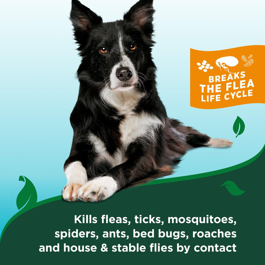 Waterless Flea & Tick Bath for Dogs 8 oz E418955