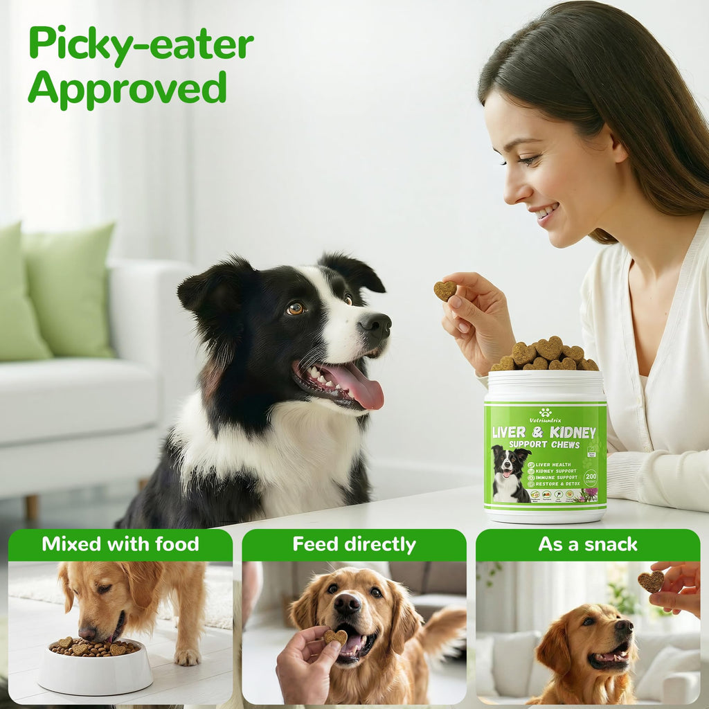 Dog Liver Support Supplement, Milk Thistle 200ct N797
