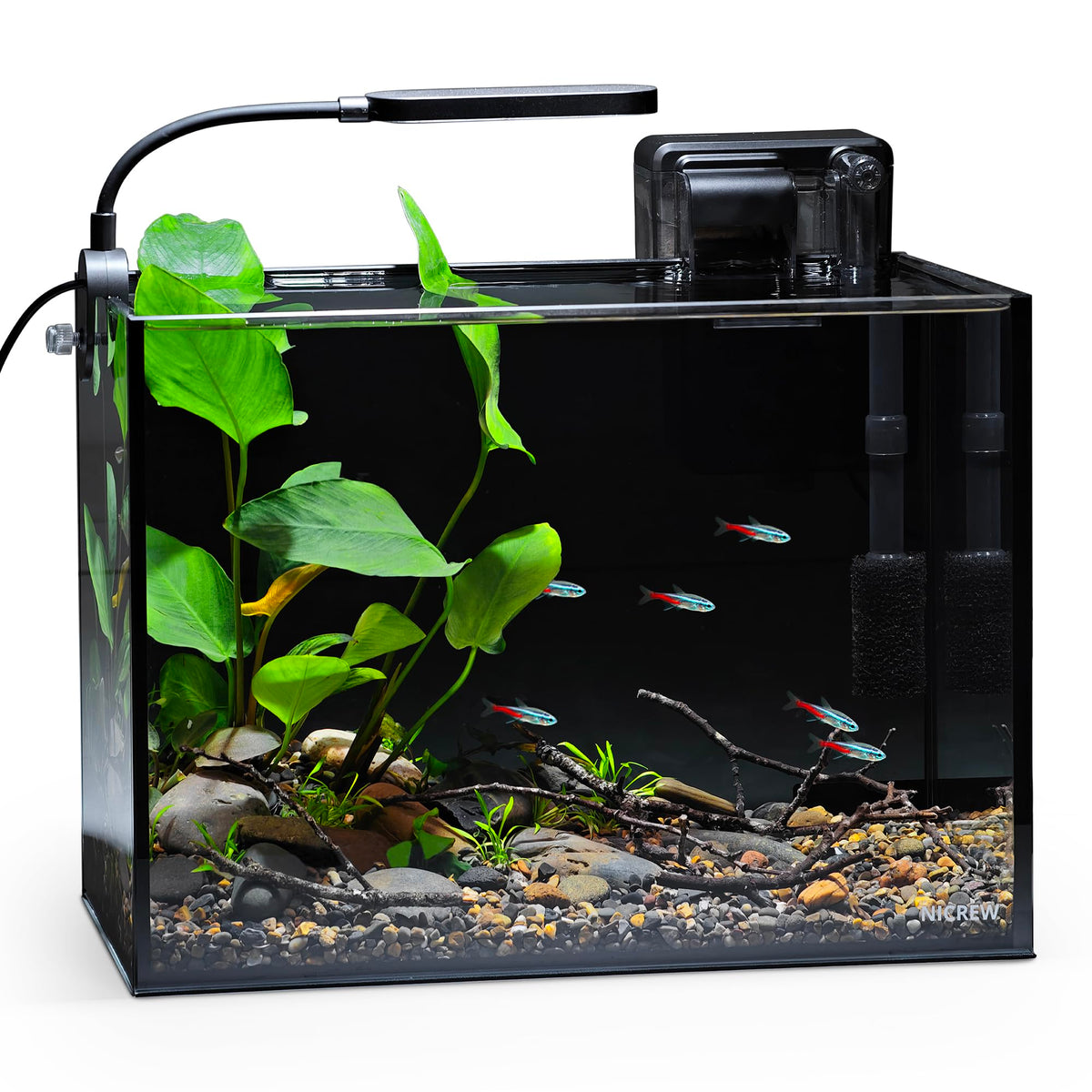 2.5 Gallon Aquarium Kit T54560