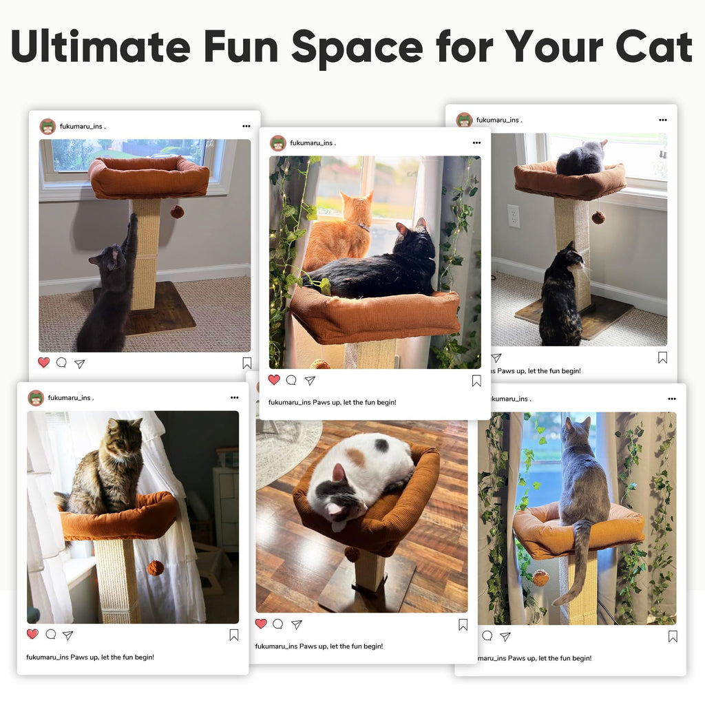 Cat Scratching Post with Perch G2667